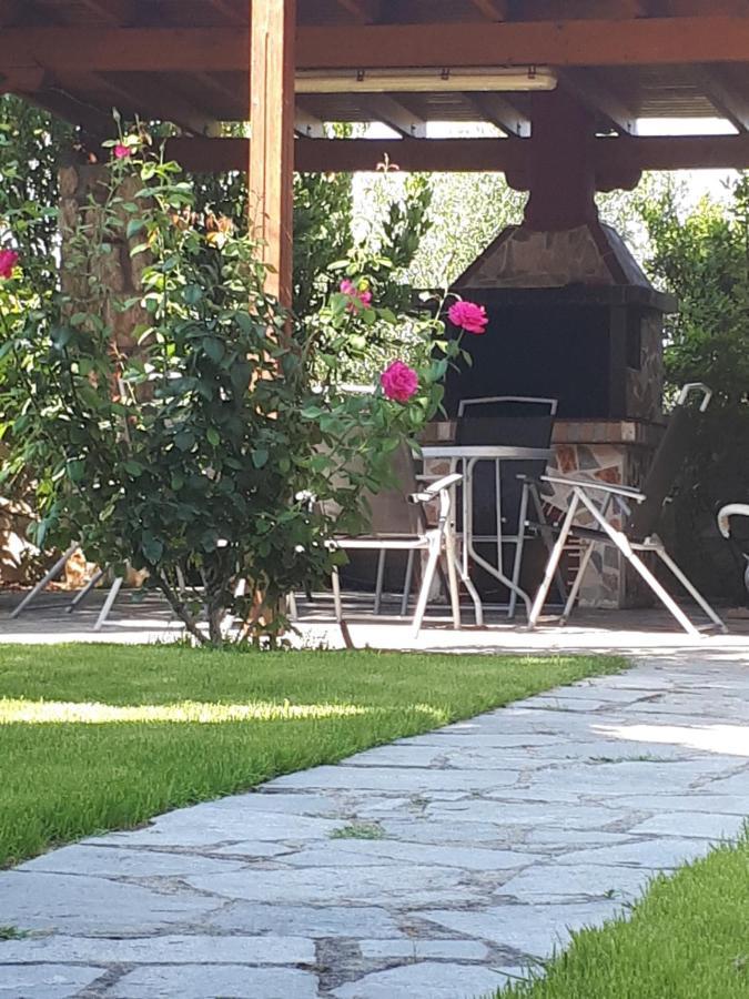 Villa George Άφυτος Εξωτερικό φωτογραφία