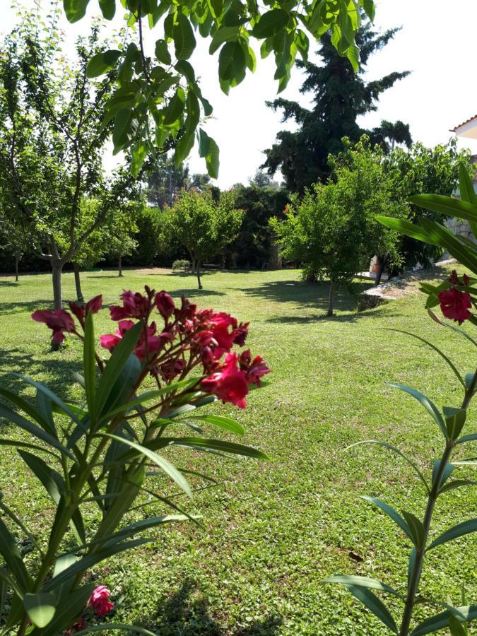 Villa George Άφυτος Εξωτερικό φωτογραφία
