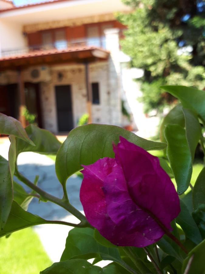 Villa George Άφυτος Εξωτερικό φωτογραφία