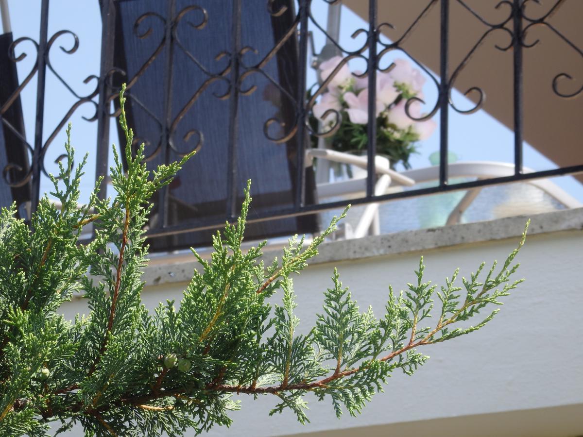 Villa George Άφυτος Εξωτερικό φωτογραφία